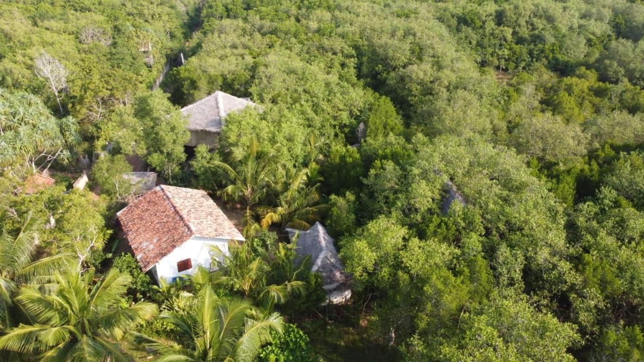 Mermaid Cabana And Tree Houses Tangalle Habitación foto