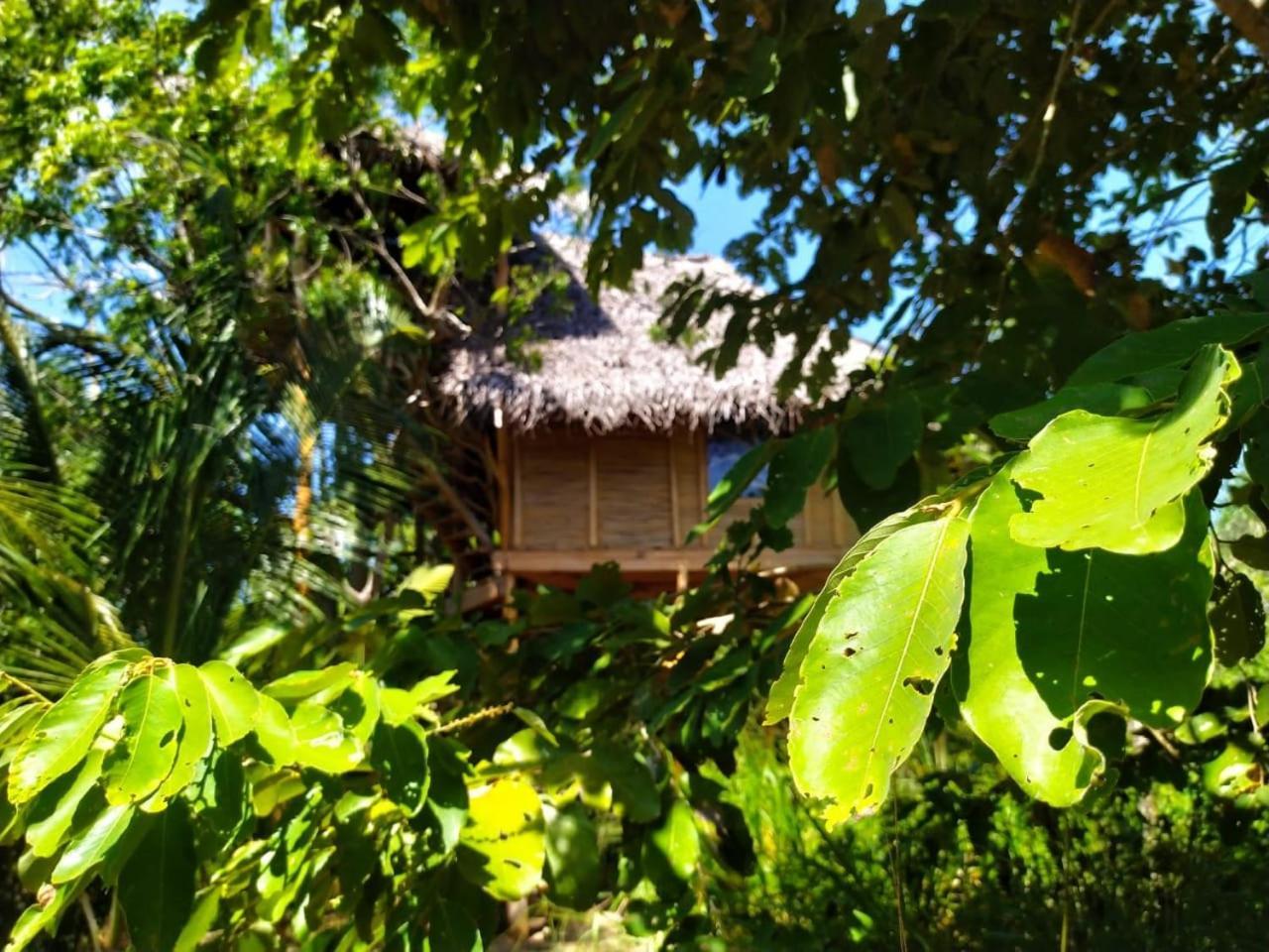 Mermaid Cabana And Tree Houses Tangalle Habitación foto