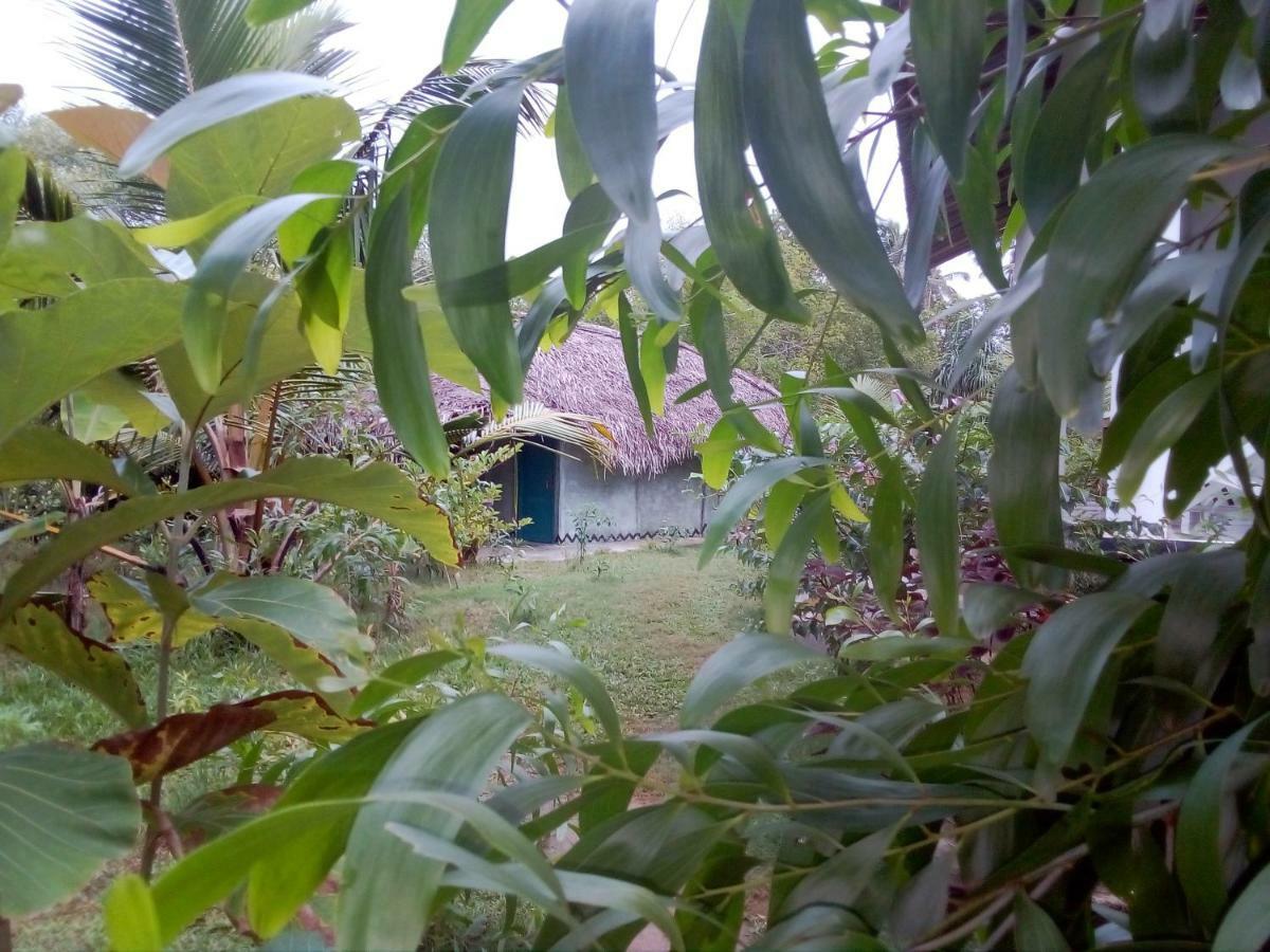Mermaid Cabana And Tree Houses Tangalle Exterior foto