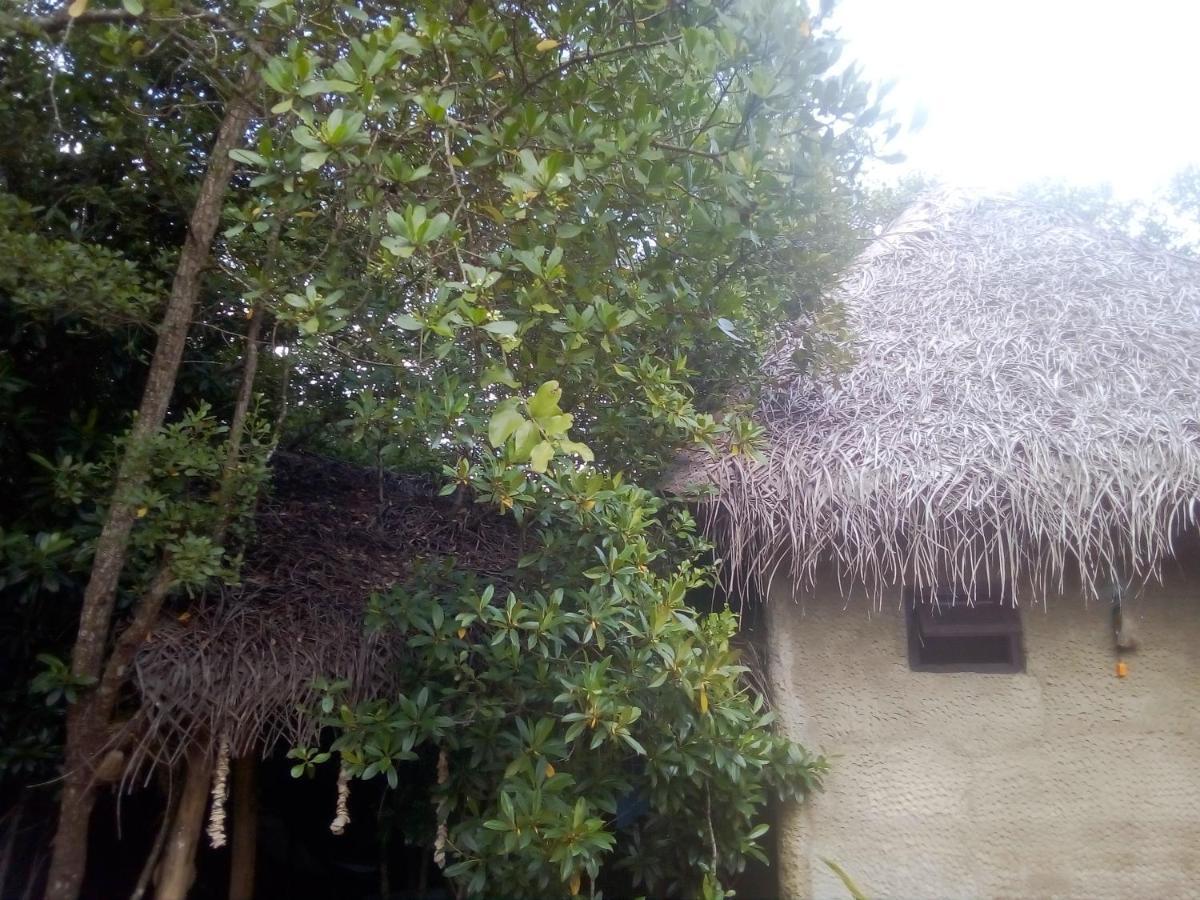 Mermaid Cabana And Tree Houses Tangalle Exterior foto