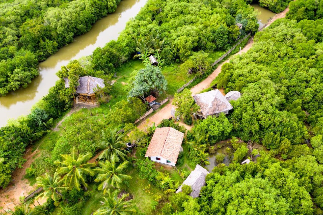 Mermaid Cabana And Tree Houses Tangalle Exterior foto