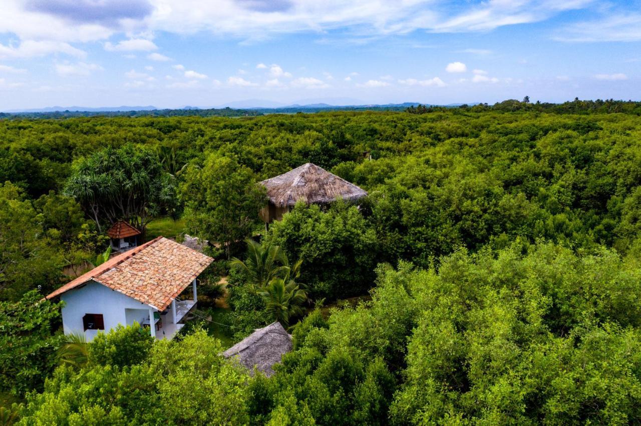 Mermaid Cabana And Tree Houses Tangalle Exterior foto
